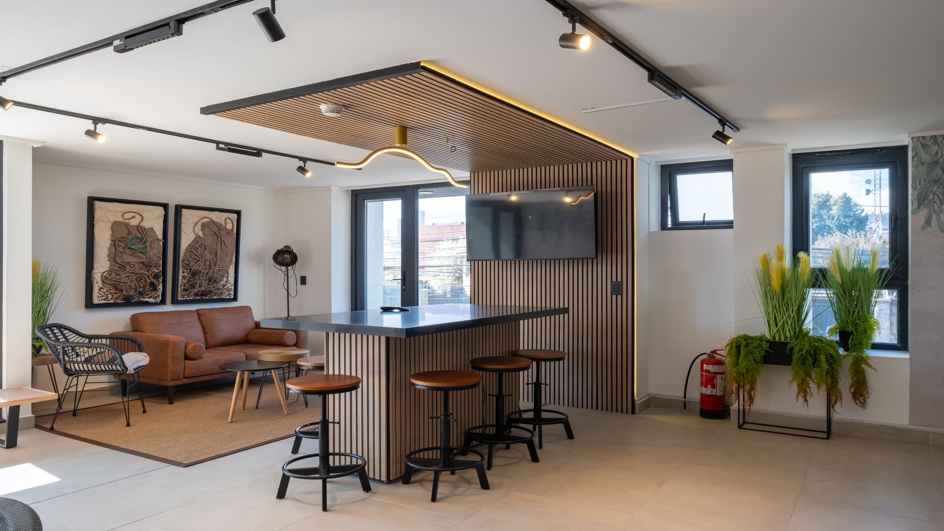 Imagen de la galeria en posicion 12